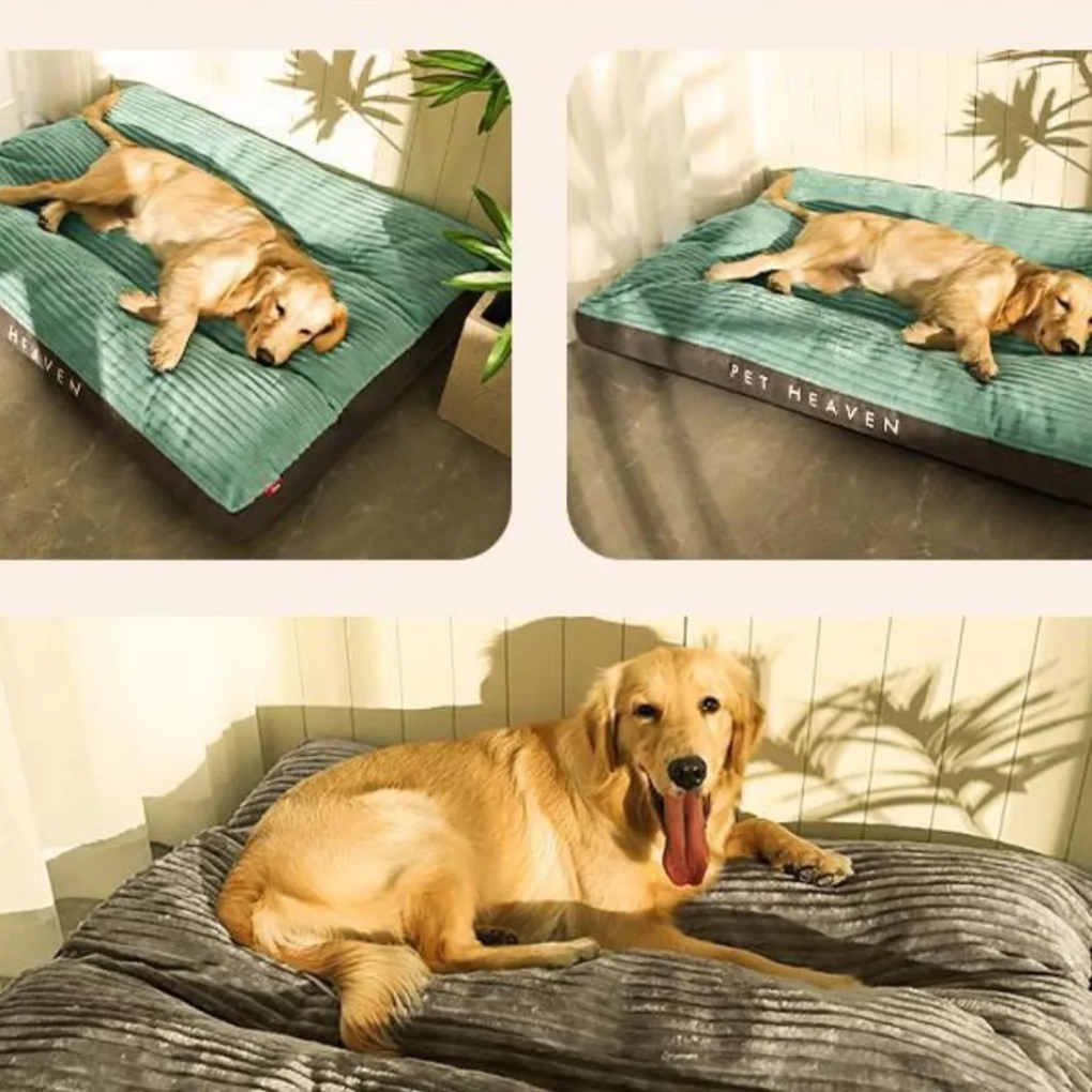 Cojín para perros para descanso y relajación