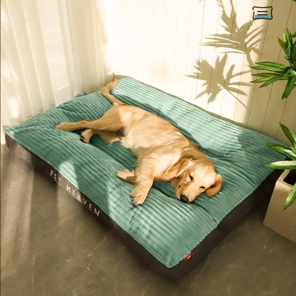 Cojín para perros para descanso y relajación
