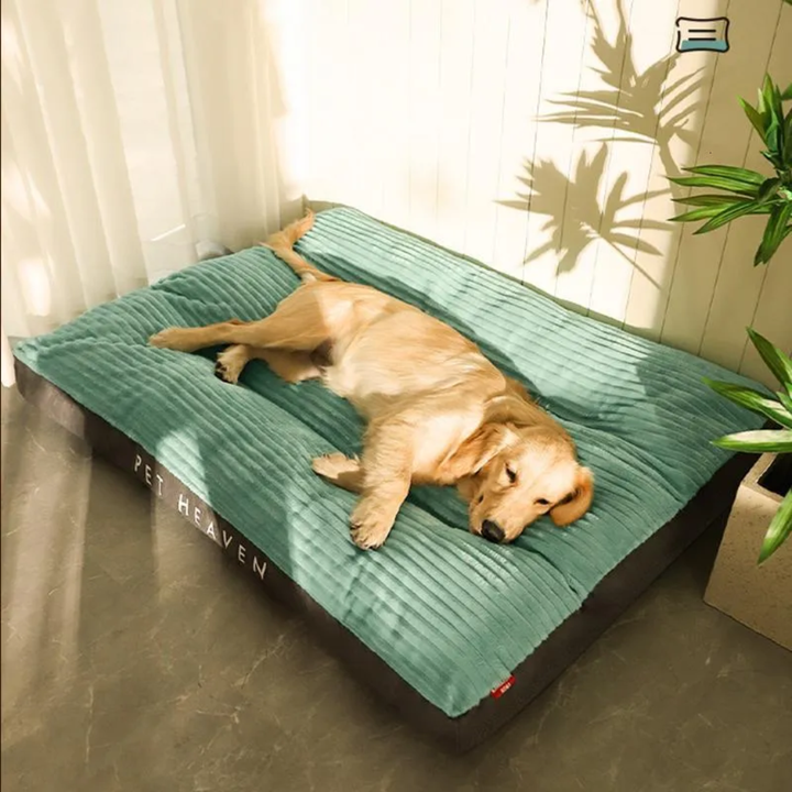 Cojín para perros para descanso y relajación