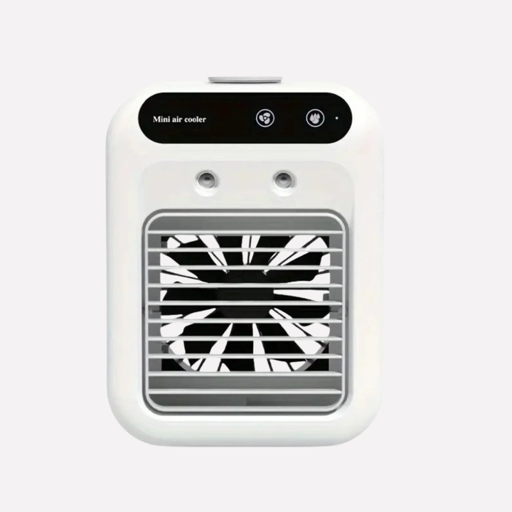 Summer air cooler and diffuser