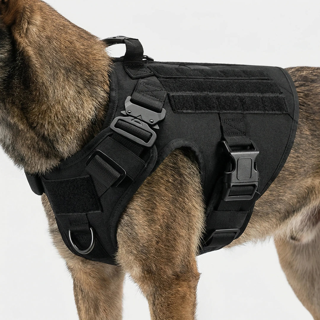 Canivex - Pettorina tattica regolabile anti-trazione per cani