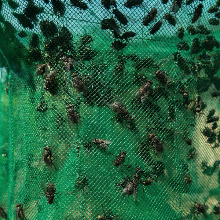 Flytenza - Trappola per mosche da esterno di grande capacità da appendere