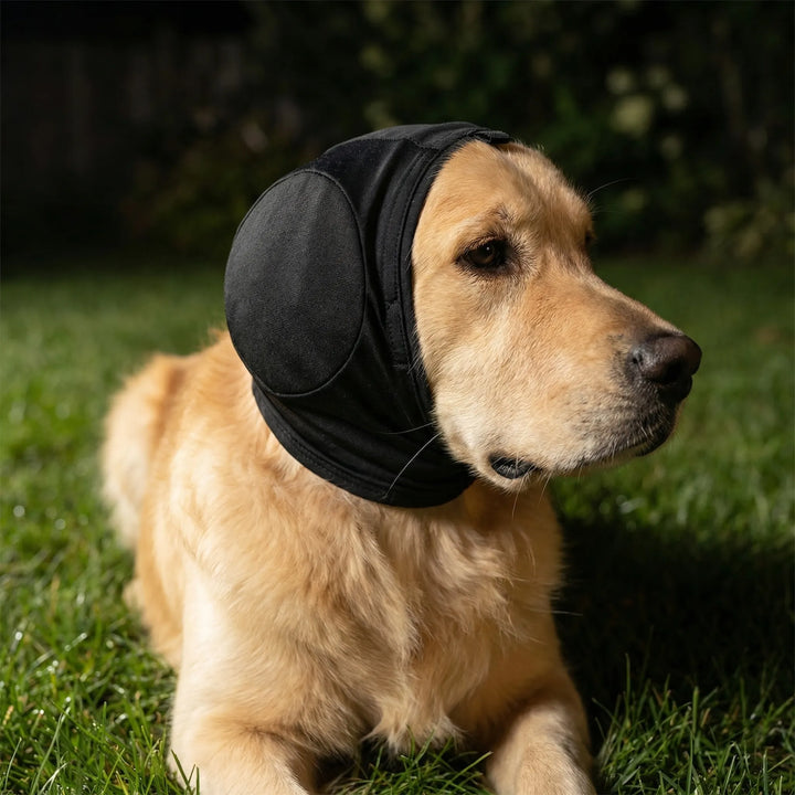 Pawlulz - Cappuccio morbido e calmante per cani