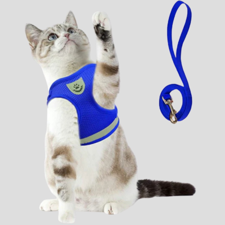 Pettorina per gatti con guinzaglio