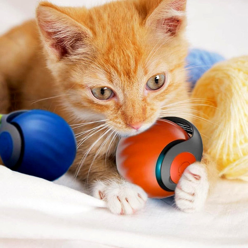 Giocattolo interattivo a forma di palla per gatti – Sfera da gioco mobile e rotante