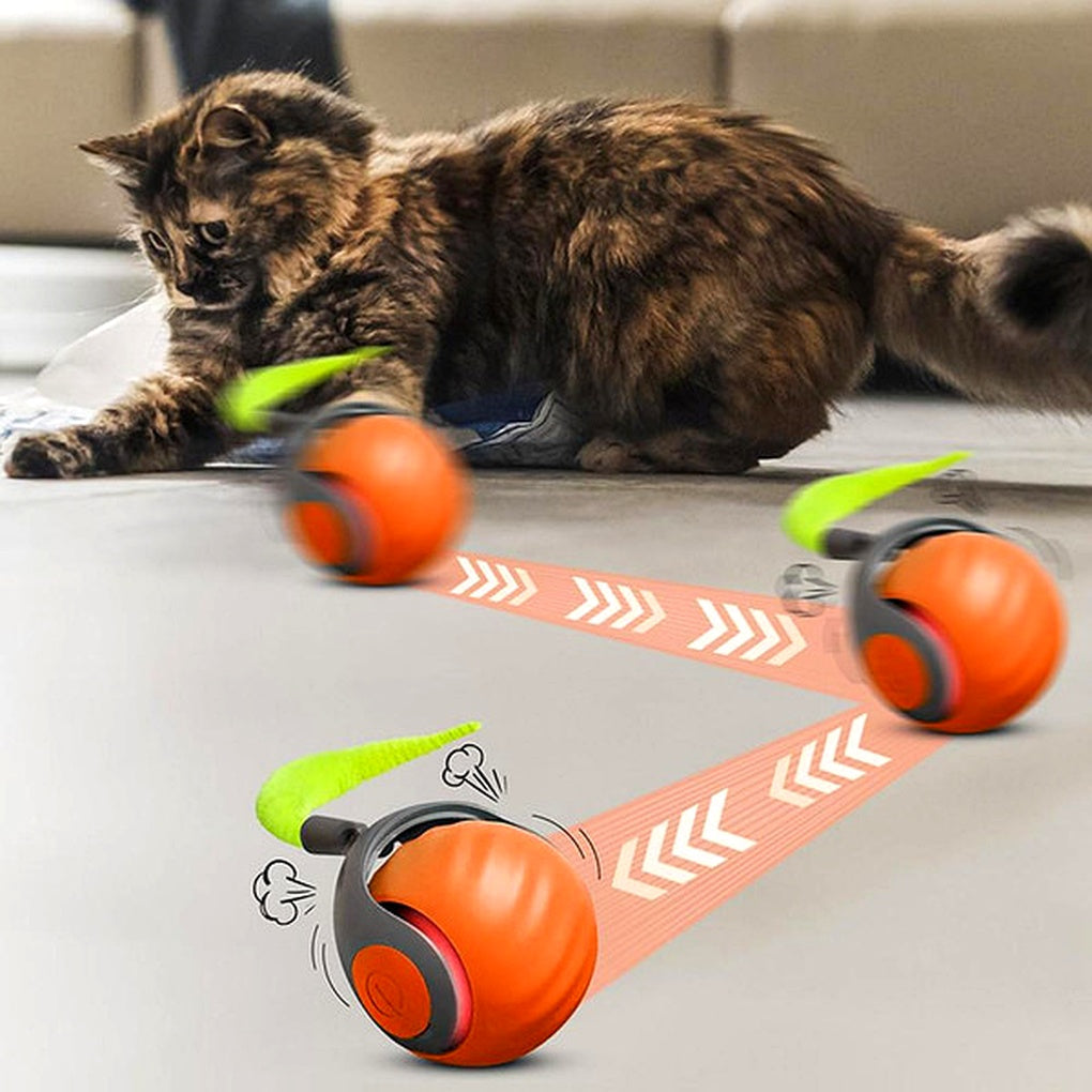 Giocattolo interattivo a forma di palla per gatti – Sfera da gioco mobile e rotante