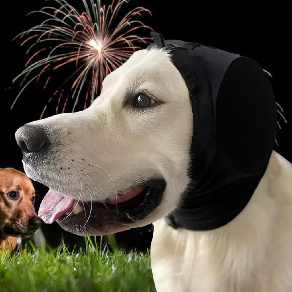 Paraorecchie per cani per la riduzione del rumore