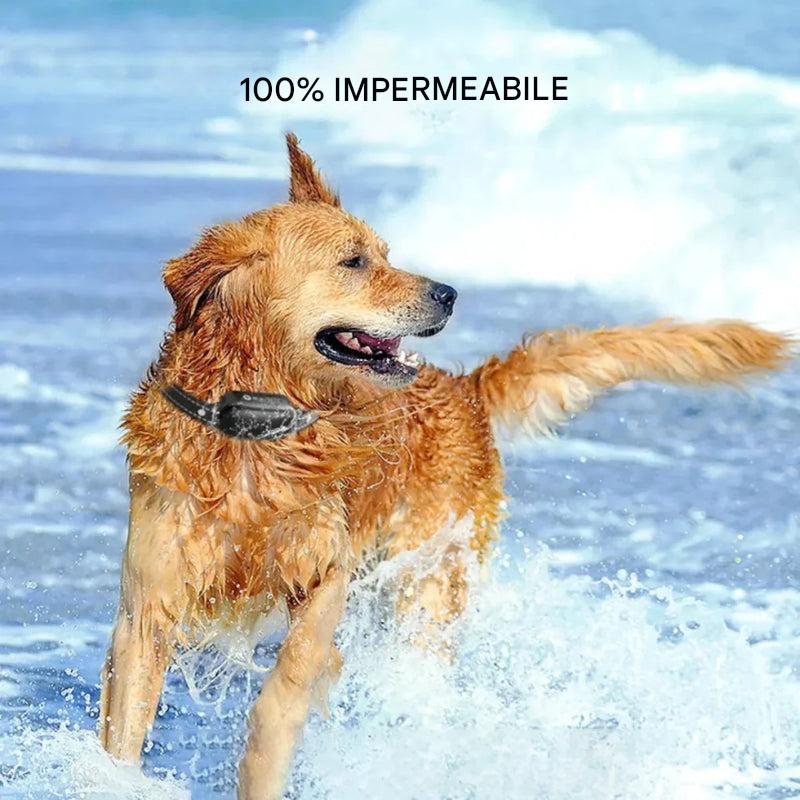 Collar eléctrico para adiestramiento de perros con control remoto